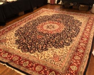 Hand knotted rug 