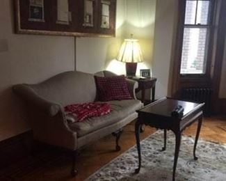 decorative sofa, table and rug