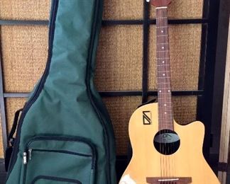 Acoustic Guitar and Soft Case.