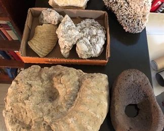 Fossils, worn stone mortar (large ammonite is 10” across)