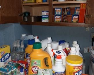 Cleaning Products in abundance