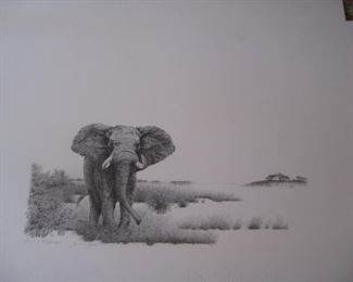 Elephant pencil drawing by Bowen Boshiers-signed 