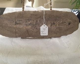 Fossil of a Fish