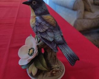 Parula Warbler #8527 by Andrea