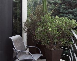 Patio Furniture, Outdoor Plants & Pottery