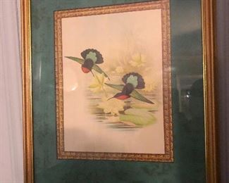 Hummingbirds escaping the oppression societal norms