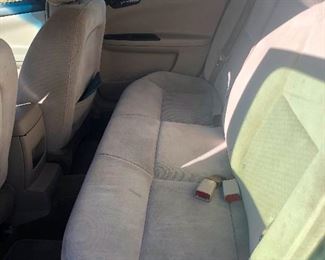 no dried dog vomit here!