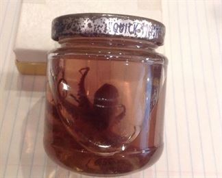 "Smalls Area"-In a Case:  A fetal octopus has been preserved in a vintage Gerber baby food jar.  My client received it from his parents while in Florida in 1958. 