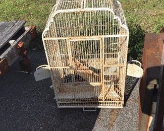 must sell my  parrot  died 