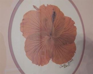 Original floral art. Hibiscus.