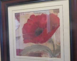 Red Poppy Framed Print
