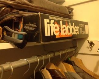 Life Ladder