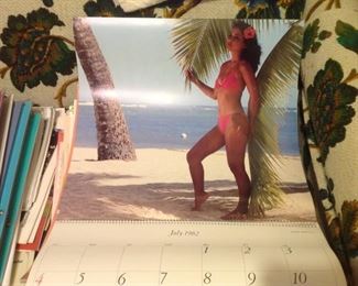 Japan Airline Large 16.5 Calendars A World of Beauty