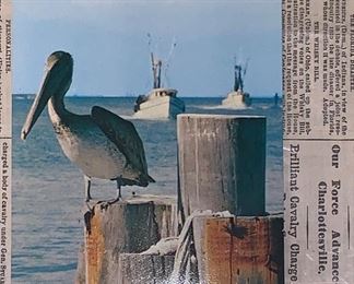 Post Card from 1979