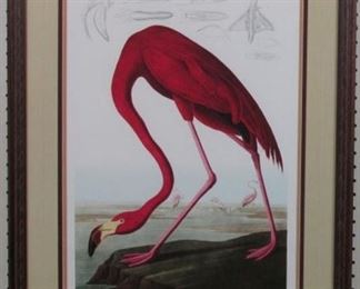 Pink Flamingo Giclee by John Audubon