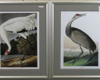 Hooping Crane giclee by John Audubon