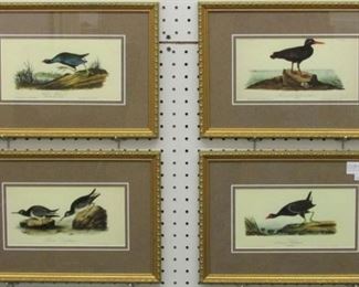 Antique Birds by John Audubon