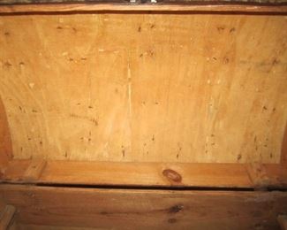 INSIDE OF TRUNK