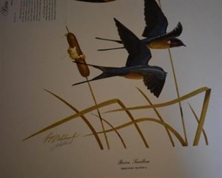Barn Swallow by Guy Coheleach double signed by Guy Coheleach