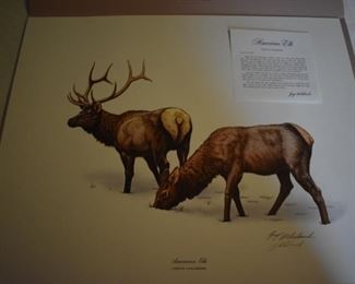 American Elk by Guy Coheleach double signed by Guy Coheleach