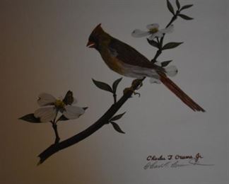 Beautiful Print of Female Cardinal, Signed Print by Artist Charles T. Crume, Jr.