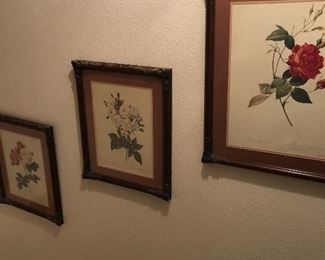 Original signed botanical art