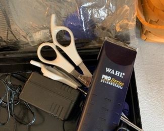Wahl professional