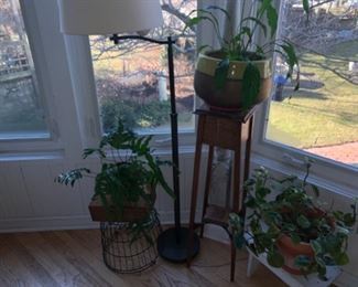 Plants and plant stands 