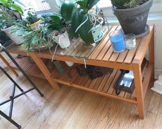 plant stand and plants. 