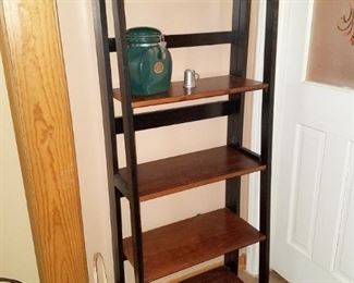 Ladder bookcase/rack