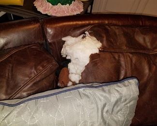 Dog's victim, but with a throw over it, out of sight...out of mind!
