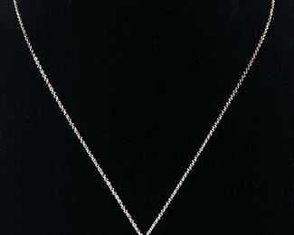 Tiffany & Co Elsa Peretti Sterling Silver Teardrop Necklace