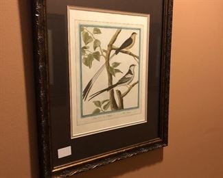 Framed Birds 