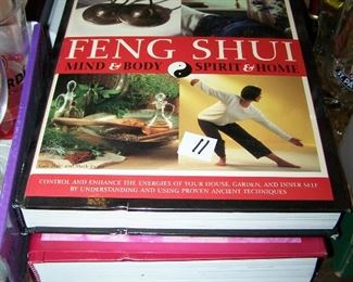 feng shui book