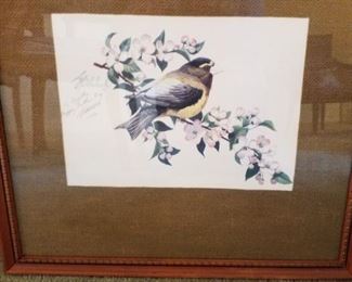 Guy Coheleach signed & autographed art print, dogwood blooms & colorful bird