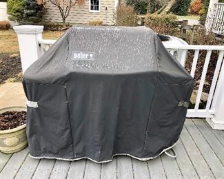 Weber grill