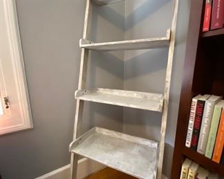 Painted "Ladder Shelf" 
