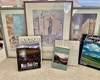 Mile High City Books and More https://ctbids.com/#!/description/share/310185