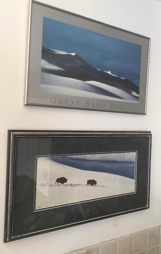 Grand Canyon, Sand Dunes, and Buffalo Artwork https://ctbids.com/#!/description/share/310253