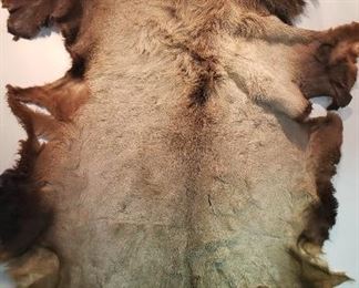 Large Bear Skin