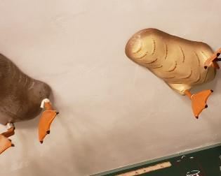 Ducks for your ceiling