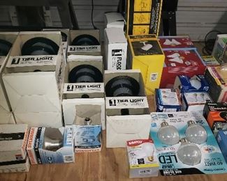 Light Bulbs and Outdoor Lighting