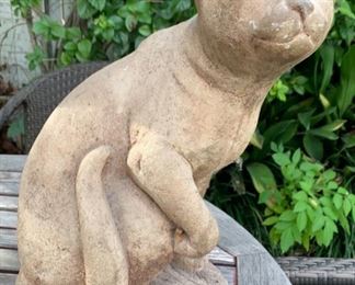 The Cat is Lookin at me.