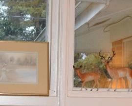 Framed Art, Deer Family