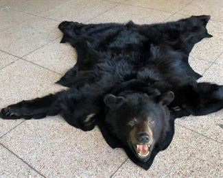 Nice quality Bear Rug