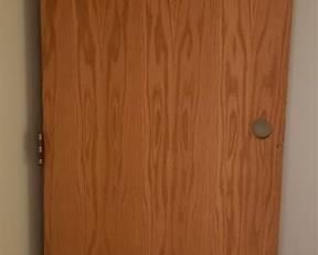 Interior Oak Veneer Hollow Core Door with Hinges (28 in. x 80 1/2 in.)