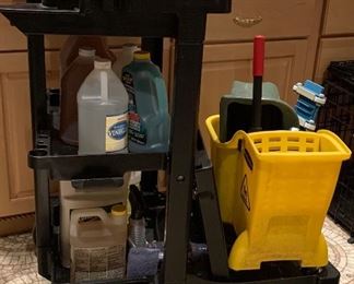 Professional cleaning cart. 