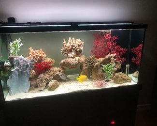 This 100 gallon marine tank (salt) is amazingly beautiful! This tank is just $500.00 and set up anywhere in the Valley for $200.00. Normally this would cost around 900.00 just for tank and stand!