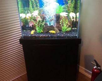 This is a 40 gallon fresh water tank, easy to maintain and comes with 15 fish. The fish are Cichlids,  animated and colorful. The most vibrant and colorful fresh water fish available
In my opinion. This entire tank, with stand,  pumps, and LED lights both inside and on hood just $300.00.