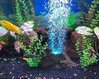 This fresh water 40 gallon tank
Includes an interior volcano light that changes colors. The lid also has an LED light that changes colors too. 